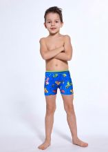 Obrázek z CTT BOX PRINT 701/155 92 